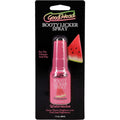 GoodHead Booty Licker Spray - Watermelon - enhances pleasure for backdoor play - 29 ml bottle - watermelon booty licker spray