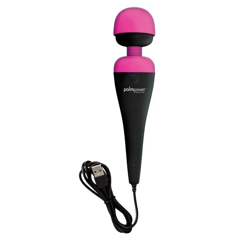 PalmPower Massage Wand Plug and Play USB PalmPower Discreet Intimate Essentials.