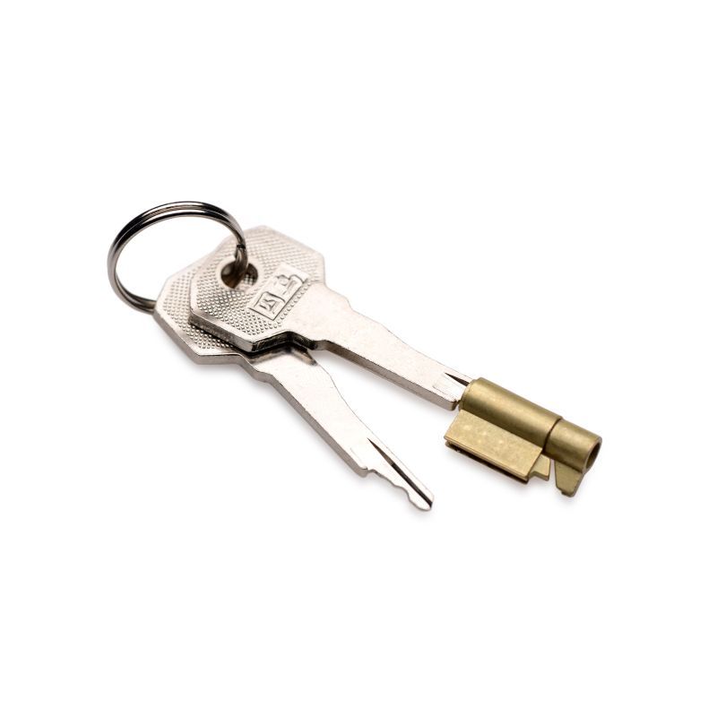 Two metal keys on a key ring, one with a brass-colored cylinder, representing security and access, ideal for locks.