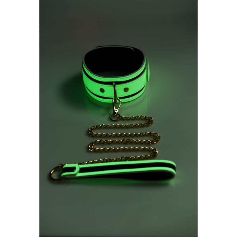 Glowing collar and lead set featuring a fluro green design with gold chain and metal hardware.