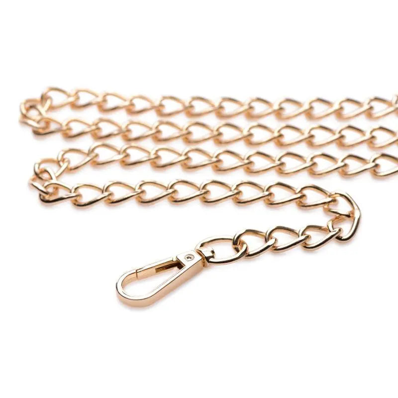 Leashed Lover Black/Gold Chain Leash Master Series Discreet Intimate Essentials.