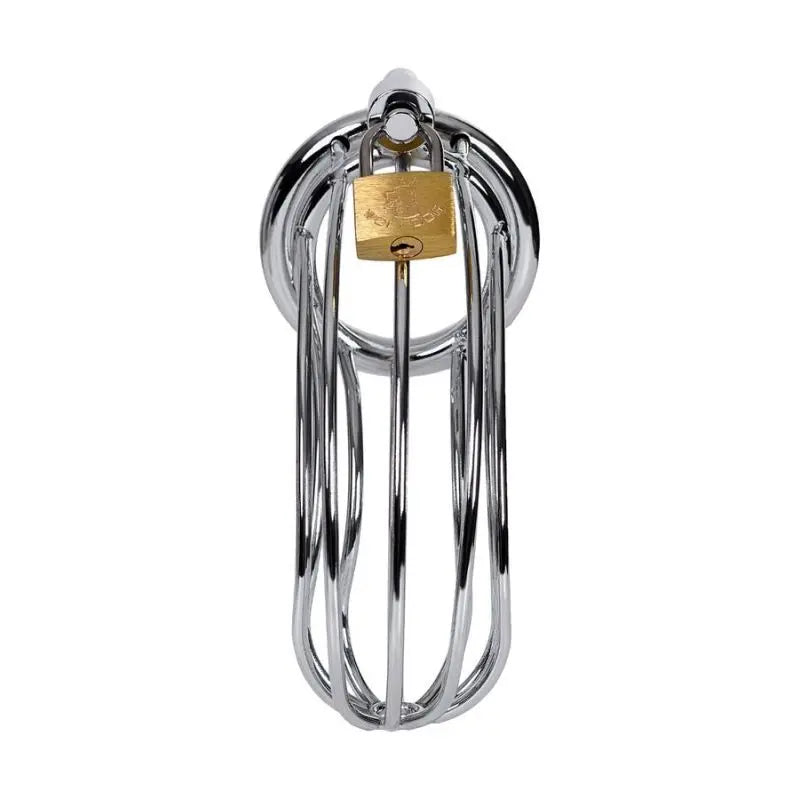 Silver Metal Birdcage Cock Cage Metal Discreet Intimate Essentials.
