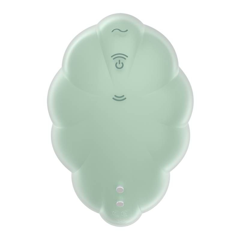 Satisfyer Cloud Dancer vibrator in mint, showcasing its sleek, luxurious silicone design and intuitive controls.