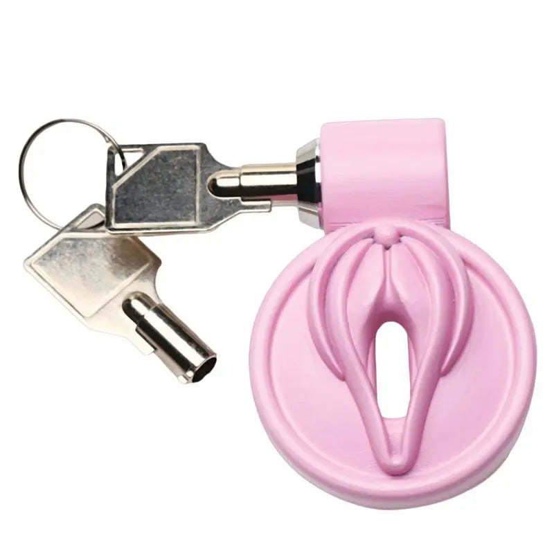 Pussification Vulva Chastity Cage Master Series Discreet Intimate Essentials.