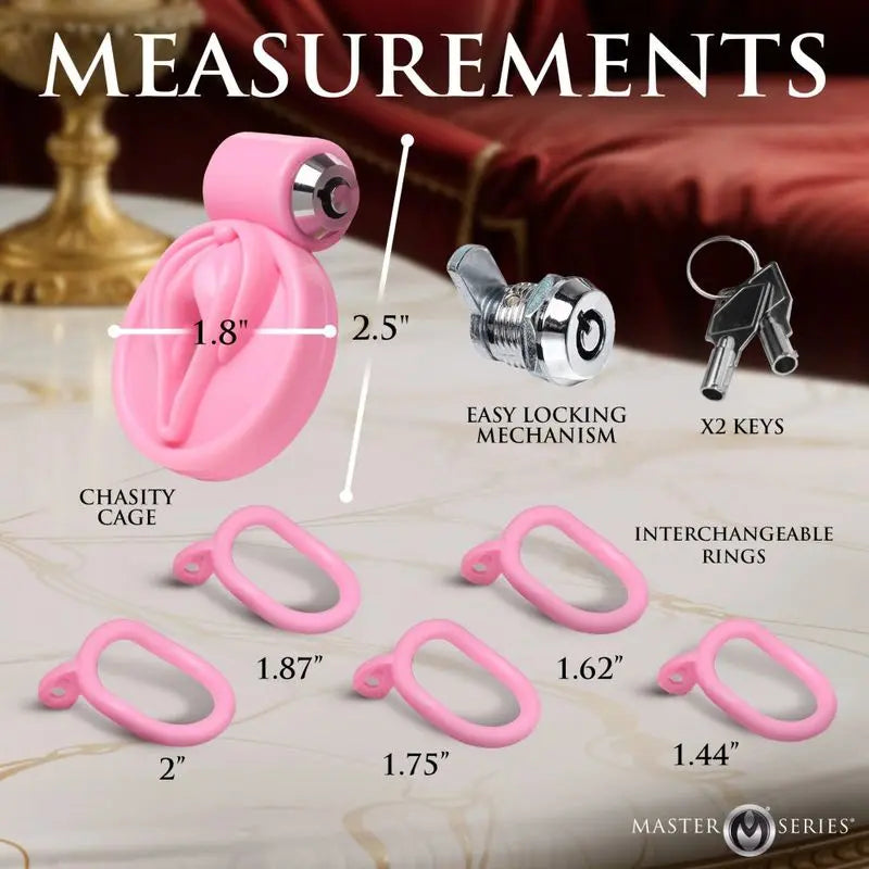 Pussification Vulva Chastity Cage Master Series Discreet Intimate Essentials.