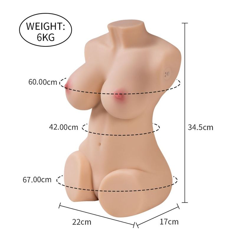 Wendy 6kg Remote Control Pussy And Ass Female Torso height and width measurements diagram.
