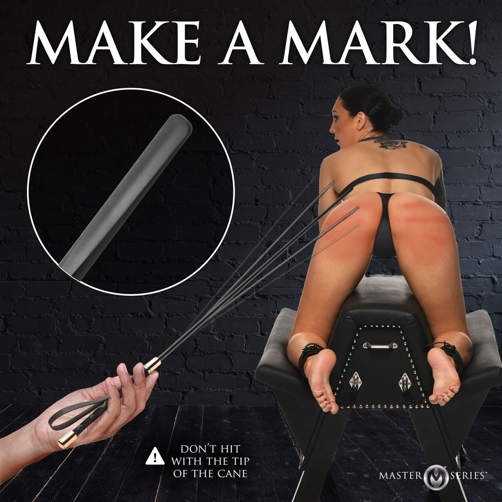 Master Series Sinful Impact Cane -  Plastic Cane Whip shown in use with a model, showcasing its flexible design and high-quality finish.