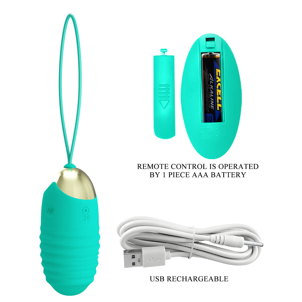 Party Up IAN Remote Egg - Teal - Teal USB Rechargeable Vibrating Egg with Wireless Remote details including battery and charging cable.