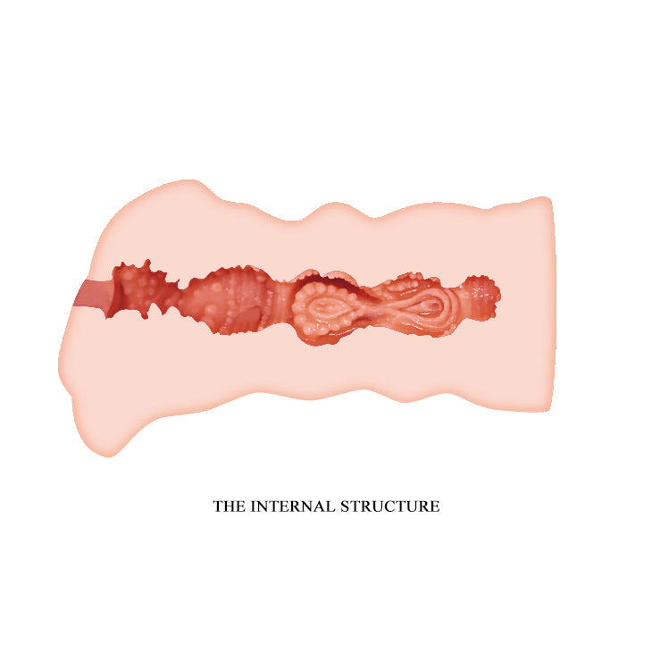 CRAZY BULL LEILA Vagina Stroker - Vagina Stroker internal structure illustration showcasing realistic texture and design.