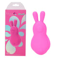 Maia BRI -  -  9 cm USB Rechargeable Vibrating Bunny Bullet in pink packaging, featuring a silicone bunny vibrator design.