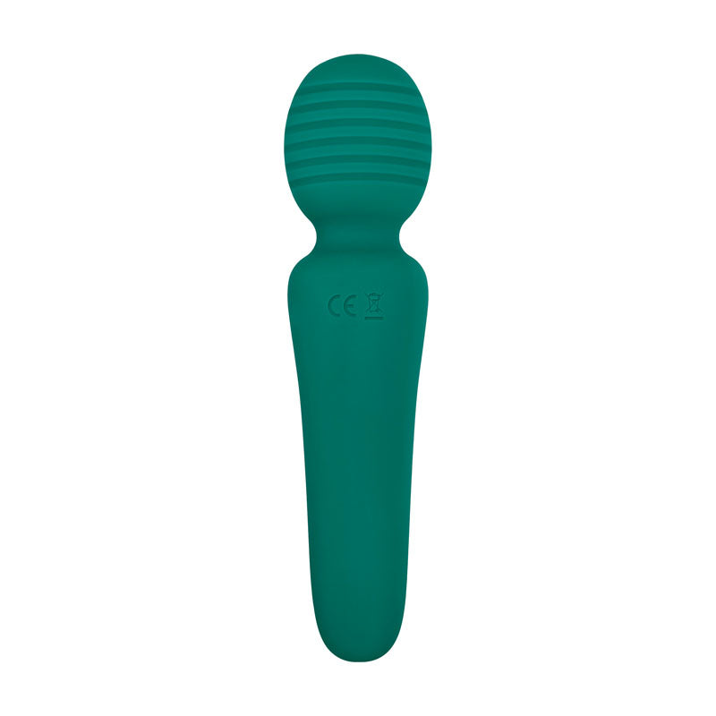 Adam & Eve Petite Private Pleasure Wand - 14.8 cm USB Rechargeable Massager Wand in vibrant teal color.