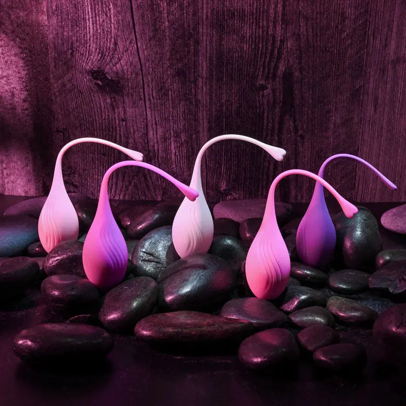 Evolved TIGHT & DELIGHT - Kegel Trainer Set - 5 Piece Kit Evolved Discreet Intimate Essentials.