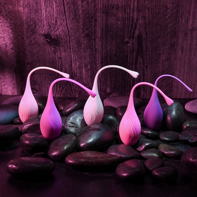 Evolved TIGHT & DELIGHT - Kegel Trainer Set - 5 Piece Kit on smooth stones with vibrant lighting.