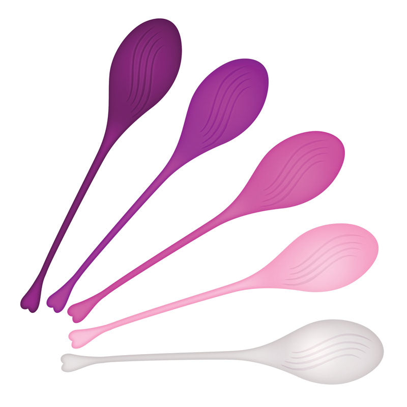 Evolved TIGHT & DELIGHT - Kegel Trainer Set - 5 Piece Kit featuring colorful weighted kegel balls.
