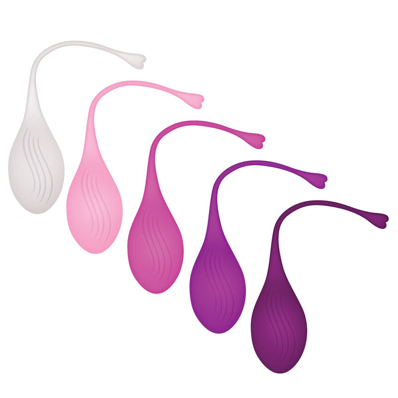 Evolved TIGHT & DELIGHT - Kegel Trainer Set - 5 Piece Kit featuring colorful kegel balls for intimate essentials for her.