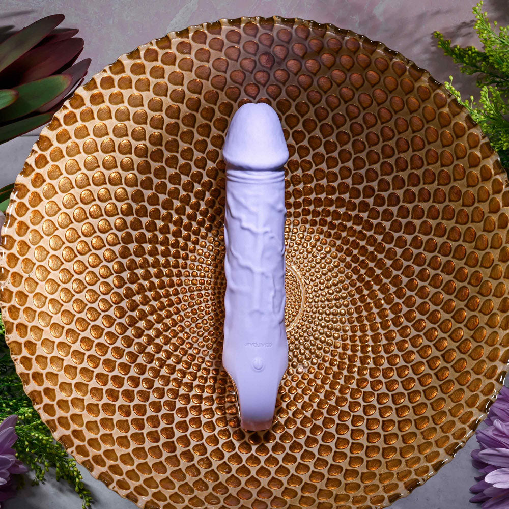 Evolved FANTASY - 18.4 cm USB Rechargeable Vibrator on a decorative plate with a textured background.