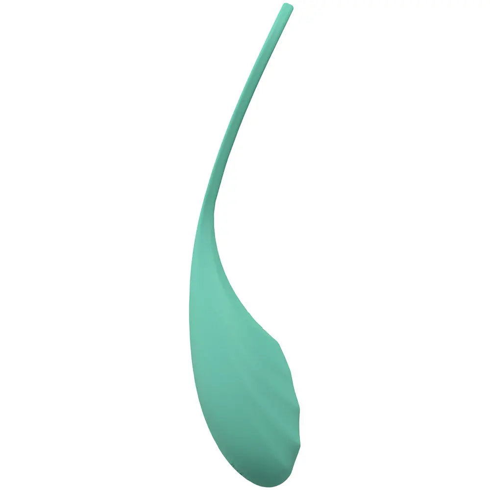 LOVELINE Passion -  -  USB Rechargeable Vibrating Egg with Wireless Remote Shots Toys Discreet Intimate Essentials.