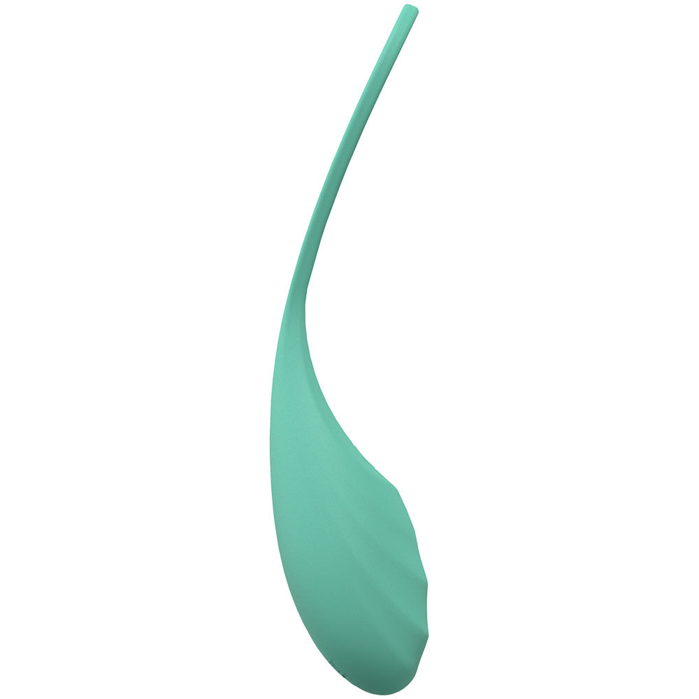 LOVELINE Passion -  -  USB Rechargeable Vibrating Egg with Wireless Remote in teal silicone design.