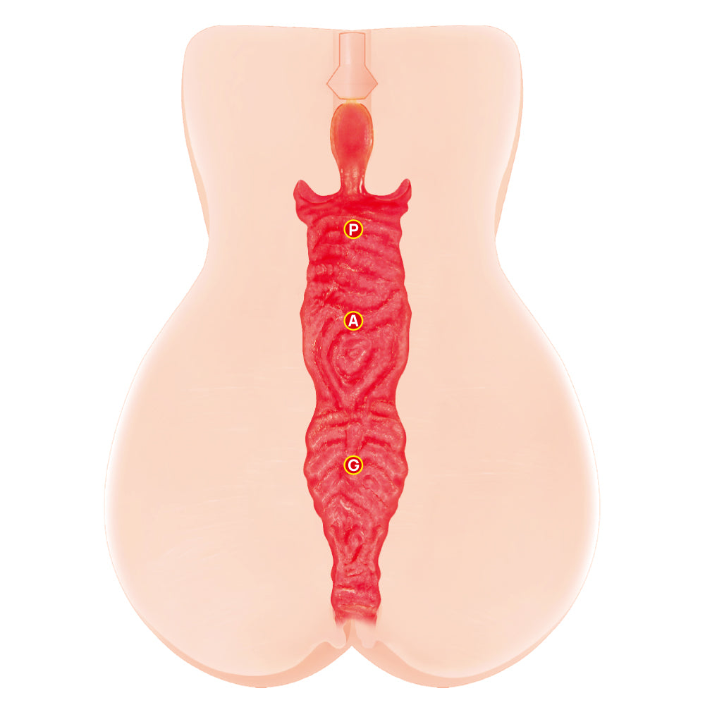 Kokos Jenny Onahole 005 -  Dual Layer Vagina Stroker detailed interior design features.