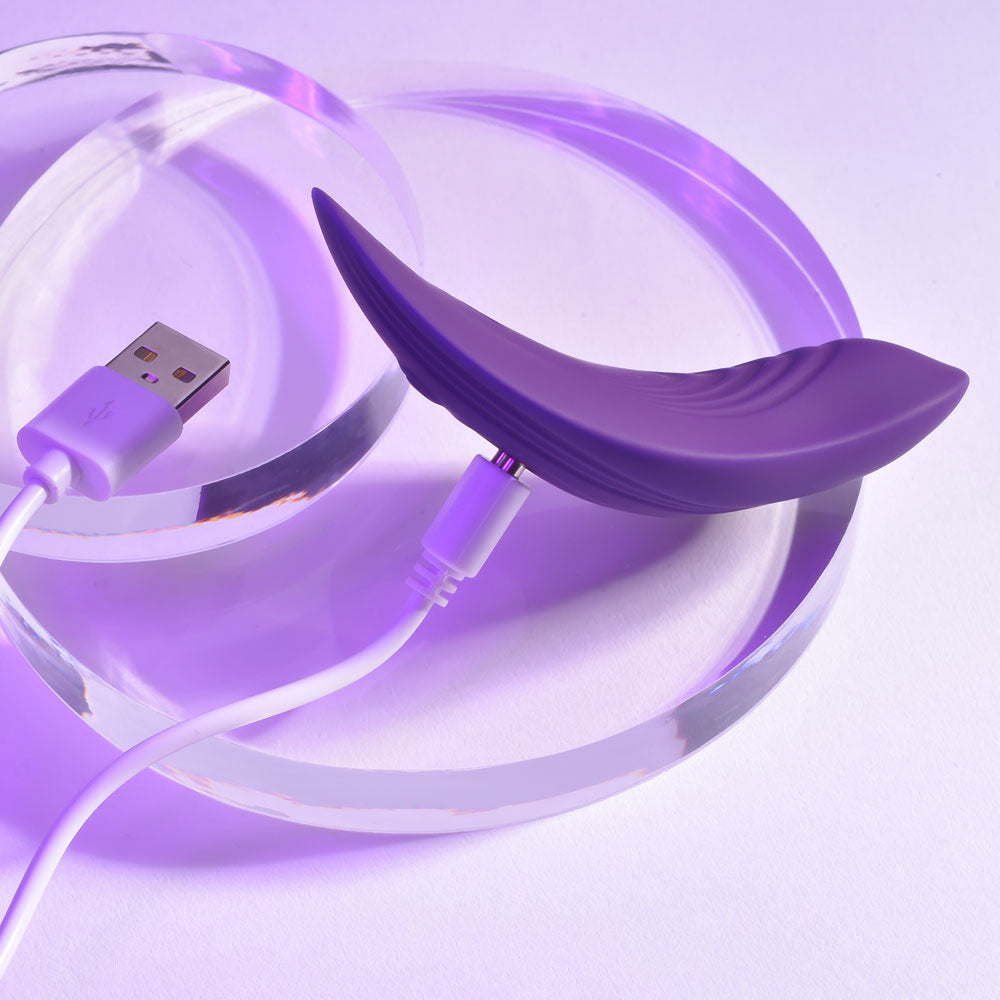 Playboy Pleasure OUR LITTLE SECRET -  USB Rechargeable Panty Vibrator with Wireless Remote Control charging on a purple background.