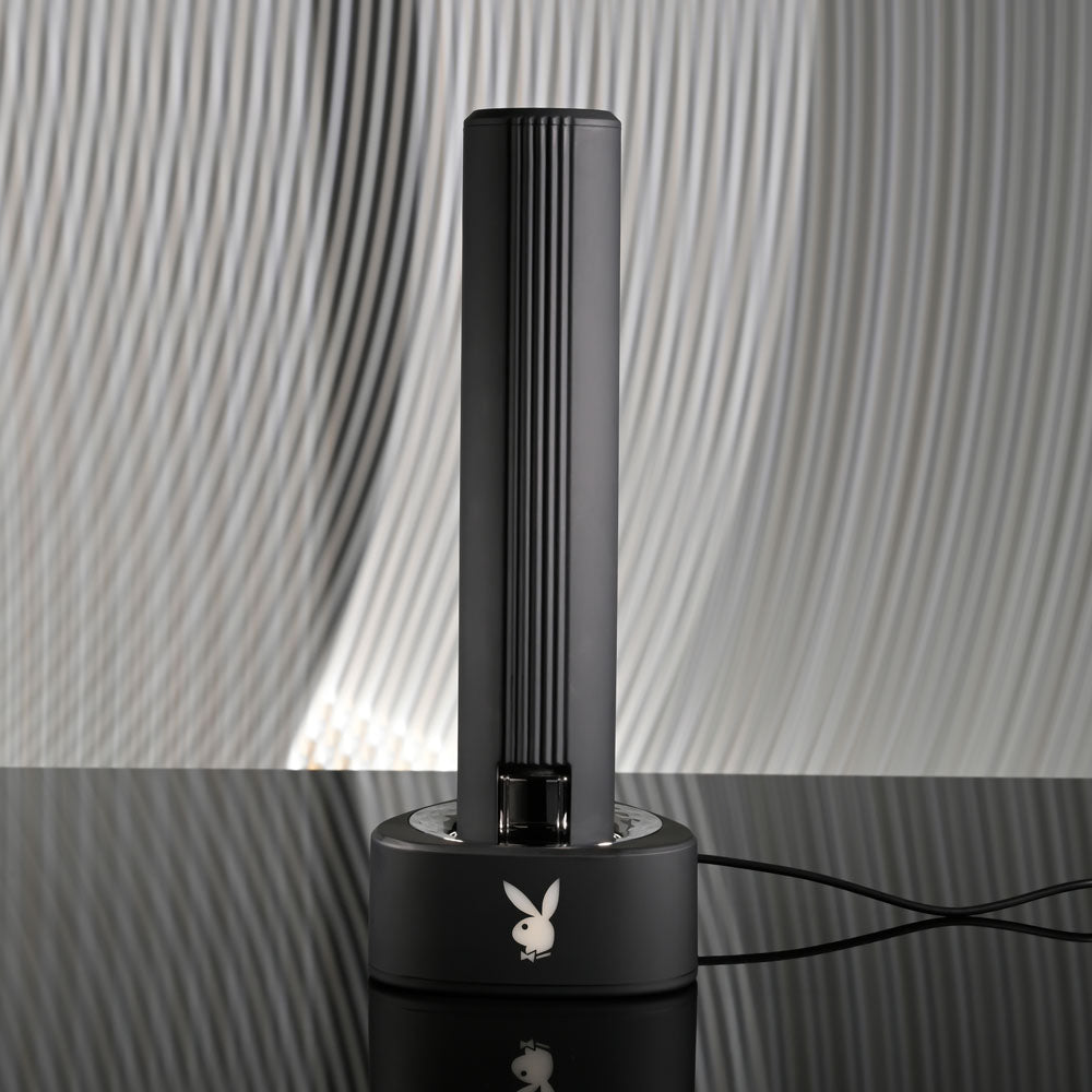 Playboy Pleasure PLEASURE ZONE - 21.4 cm Rechargeable Vibrator with USB Charging Dock on a sleek surface.