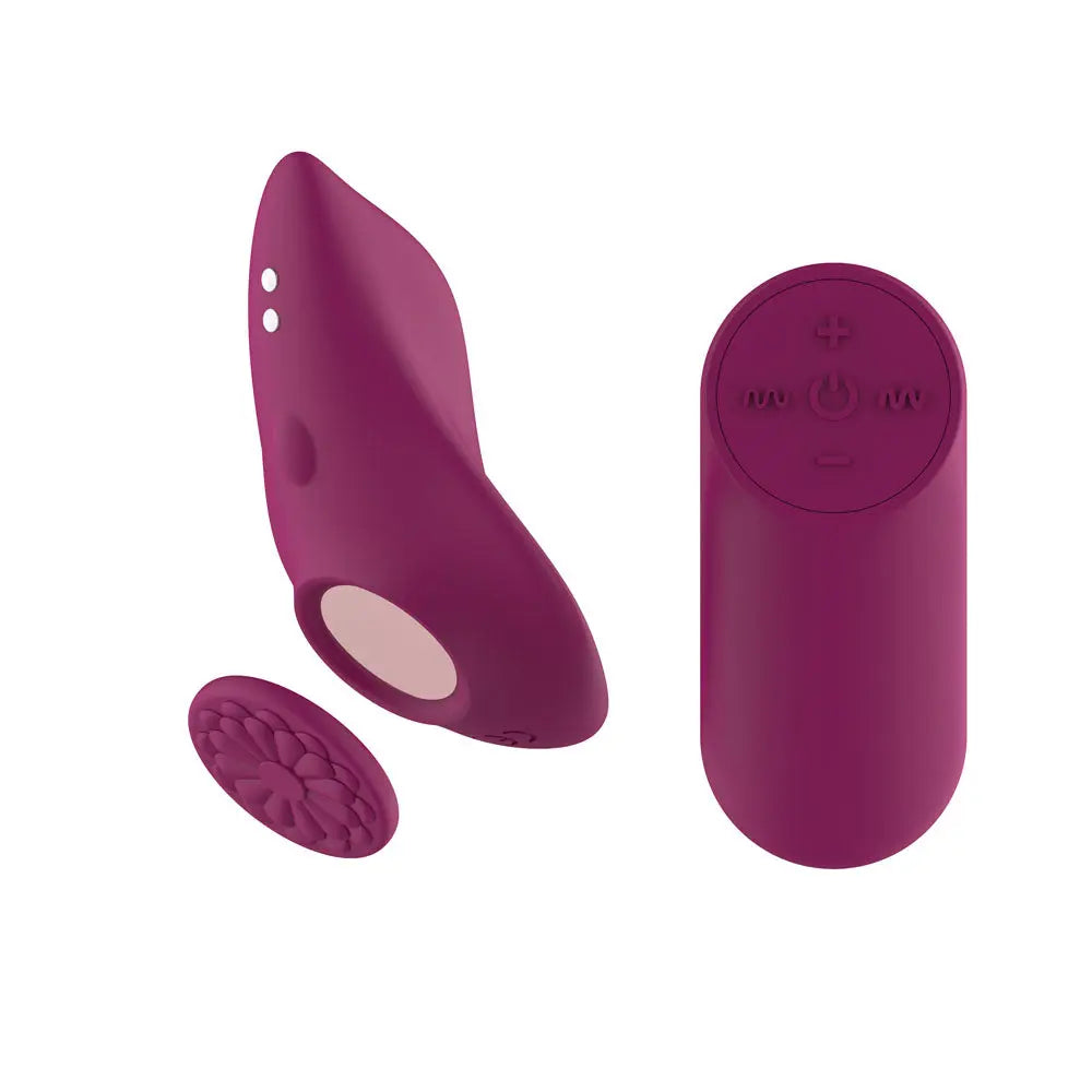 Passion Play Magnet Panty Vibe with Remote -  USB Rechargeable Panty Vibrator with Wireless Remote Control Passion Play Discreet Intimate Essentials.