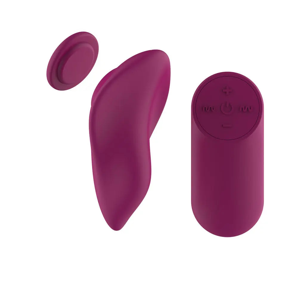 Passion Play Magnet Panty Vibe with Remote -  USB Rechargeable Panty Vibrator with Wireless Remote Control Passion Play Discreet Intimate Essentials.