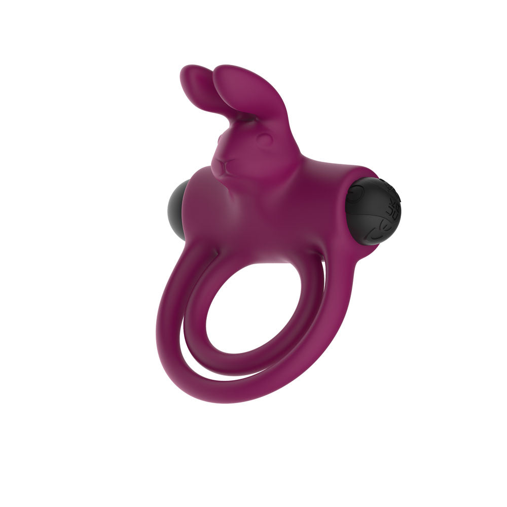 Passion Play Silicone Rabbit Vibrating Cockring for couples in playful purple, designed for shared pleasure and extra sensation.