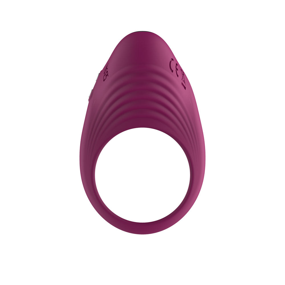 Passion Play Silicone Vibrating Cockring in purple, a rechargeable vibrating cock ring for enhanced sensation.