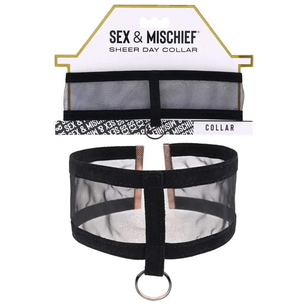 Sex & Mischief Sheer Day Collar -  Collar Sportsheets Discreet Intimate Essentials.