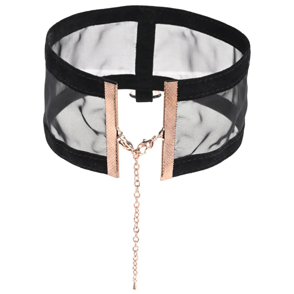 Sex & Mischief Sheer Day Collar -  Collar Sportsheets Discreet Intimate Essentials.