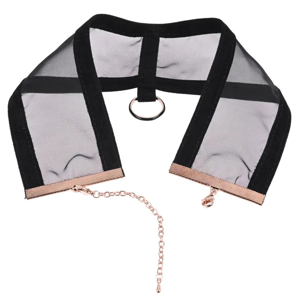Sex & Mischief Sheer Day Collar -  Collar Sportsheets Discreet Intimate Essentials.