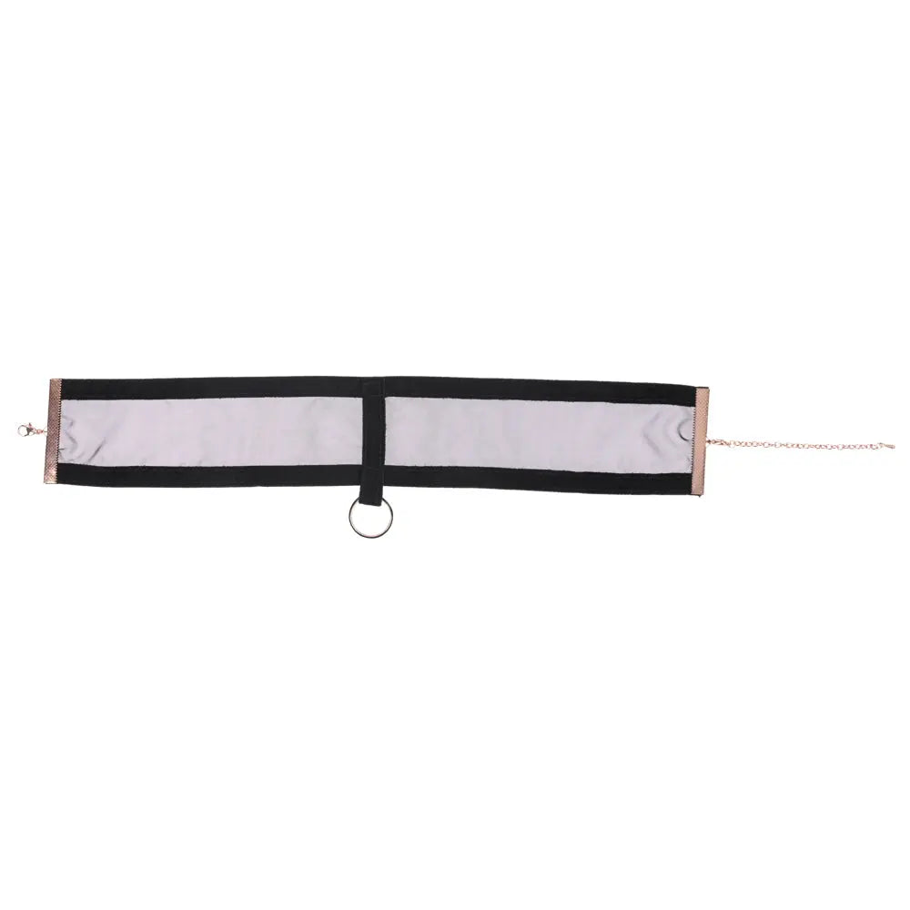 Sex & Mischief Sheer Day Collar -  Collar Sportsheets Discreet Intimate Essentials.