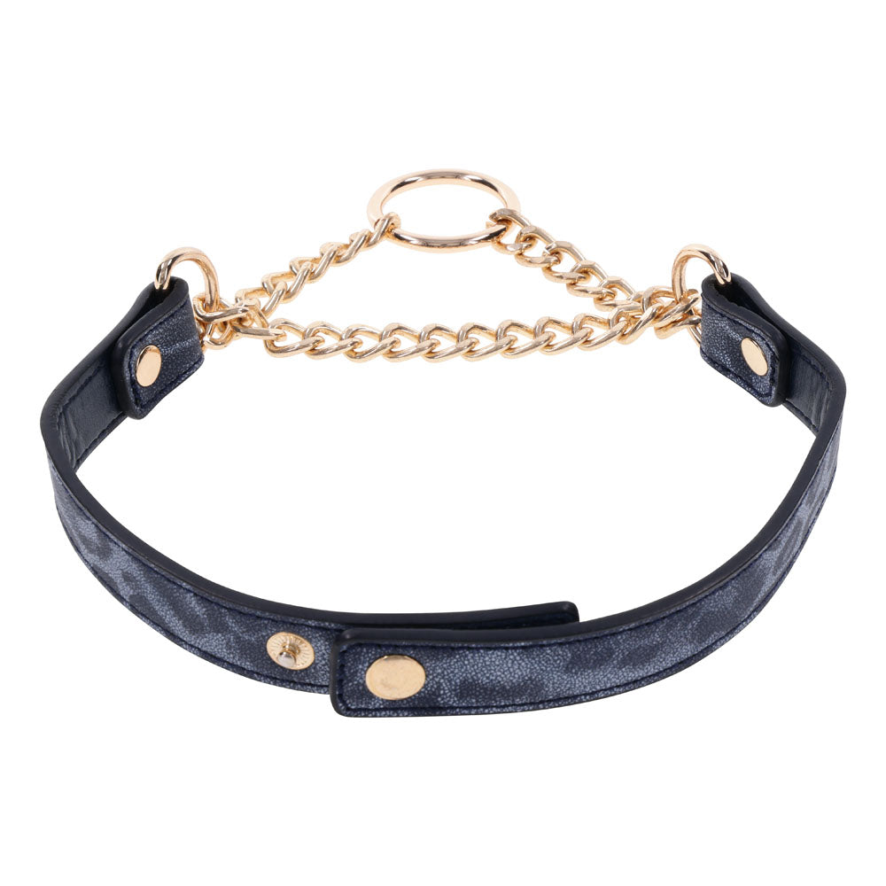 Sex & Mischief Cougar Day Collar - Navy /Gold Collar featuring animal-printed faux leather and gold hardware.