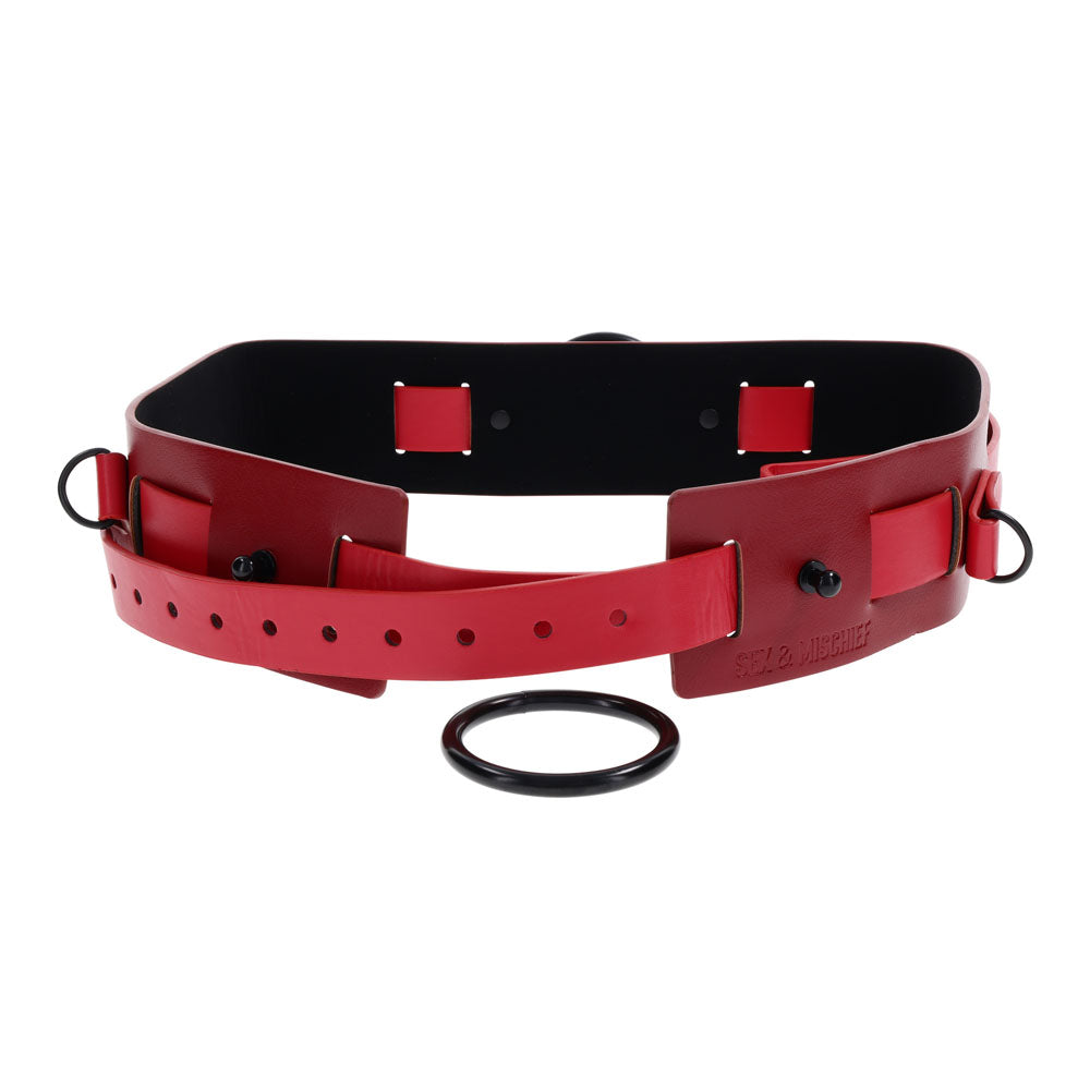 S&M Exs & Ohs Bound and Belted -  Bondage Belt with red accents and D Rings.
