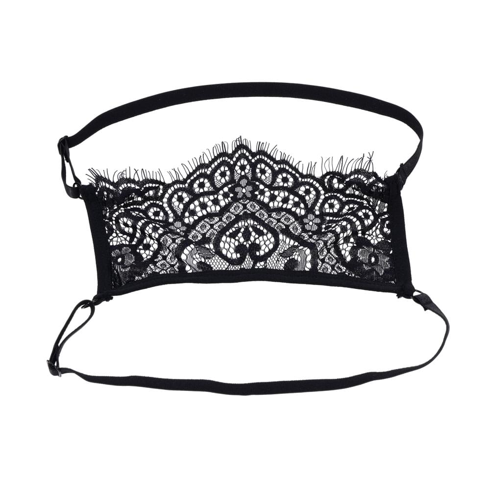 S&M Veiled Vision Lace Blindfold -  Lace Blindfold