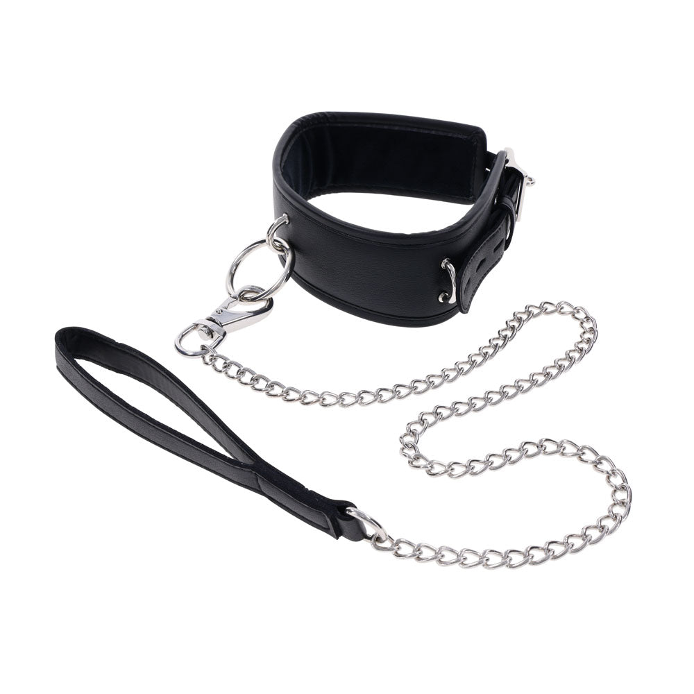 EDGE Collar & Leash - Neck Restraint with Heavy Duty Metal Leash for secure comfort and control.