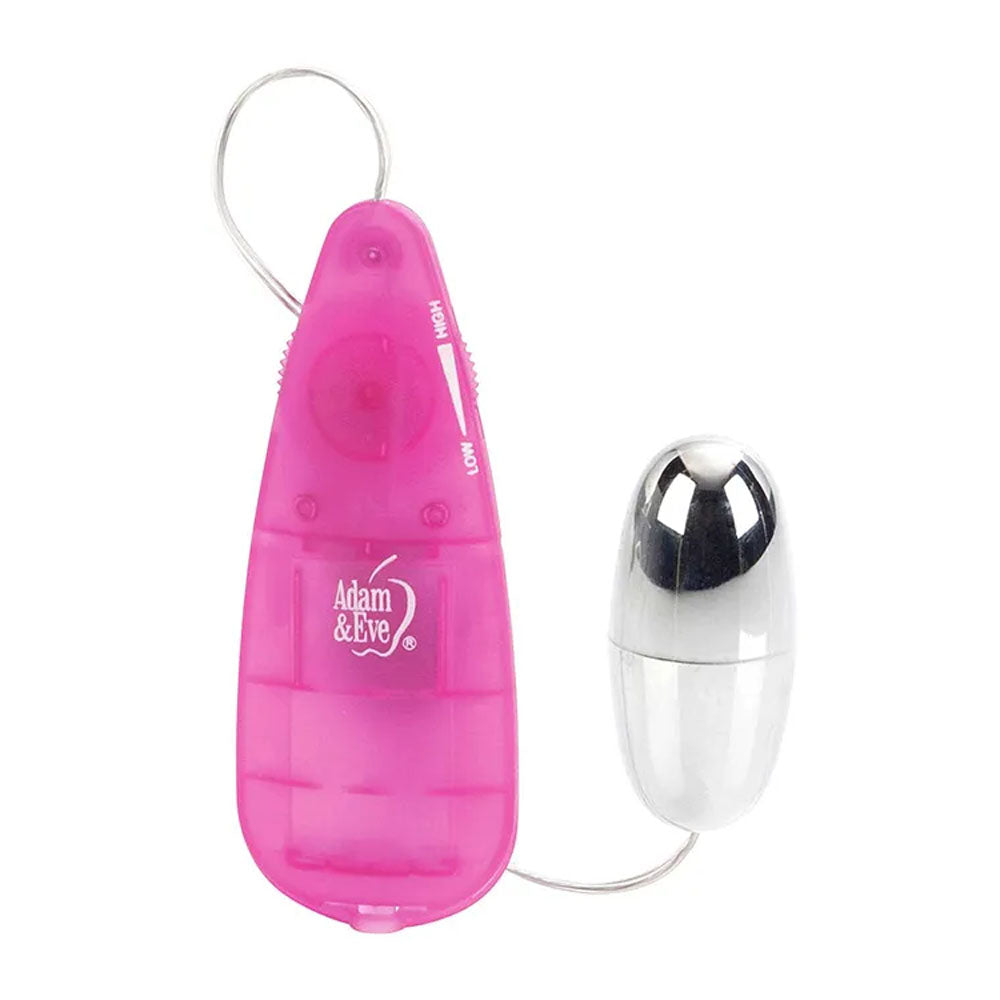 Adam & Eve VIBRATING SILVER BULLET 2.0 - Silver 5.8 cm Bullet with Pink Remote on a white background.