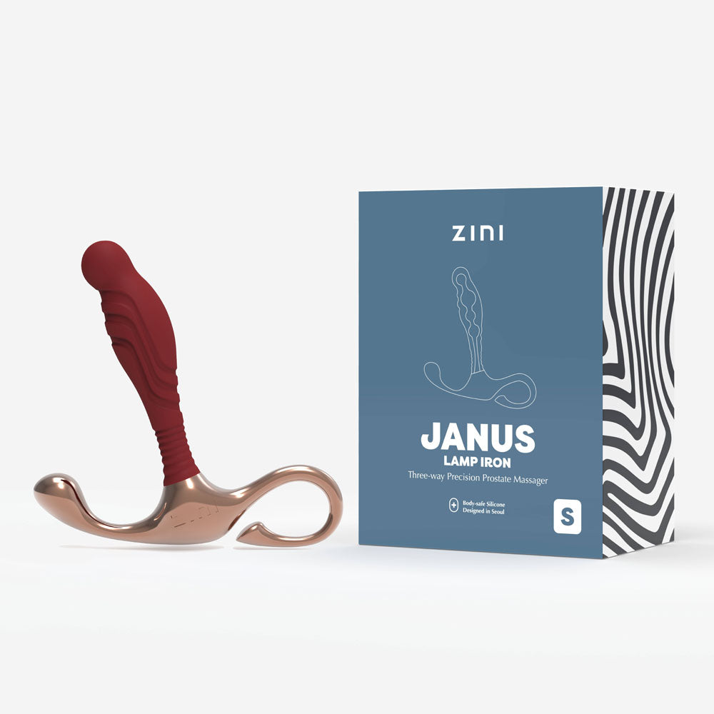 Zini Janus Lamp Iron - Small -  Small Prostate Massager with packaging, precision design for intense pleasure.