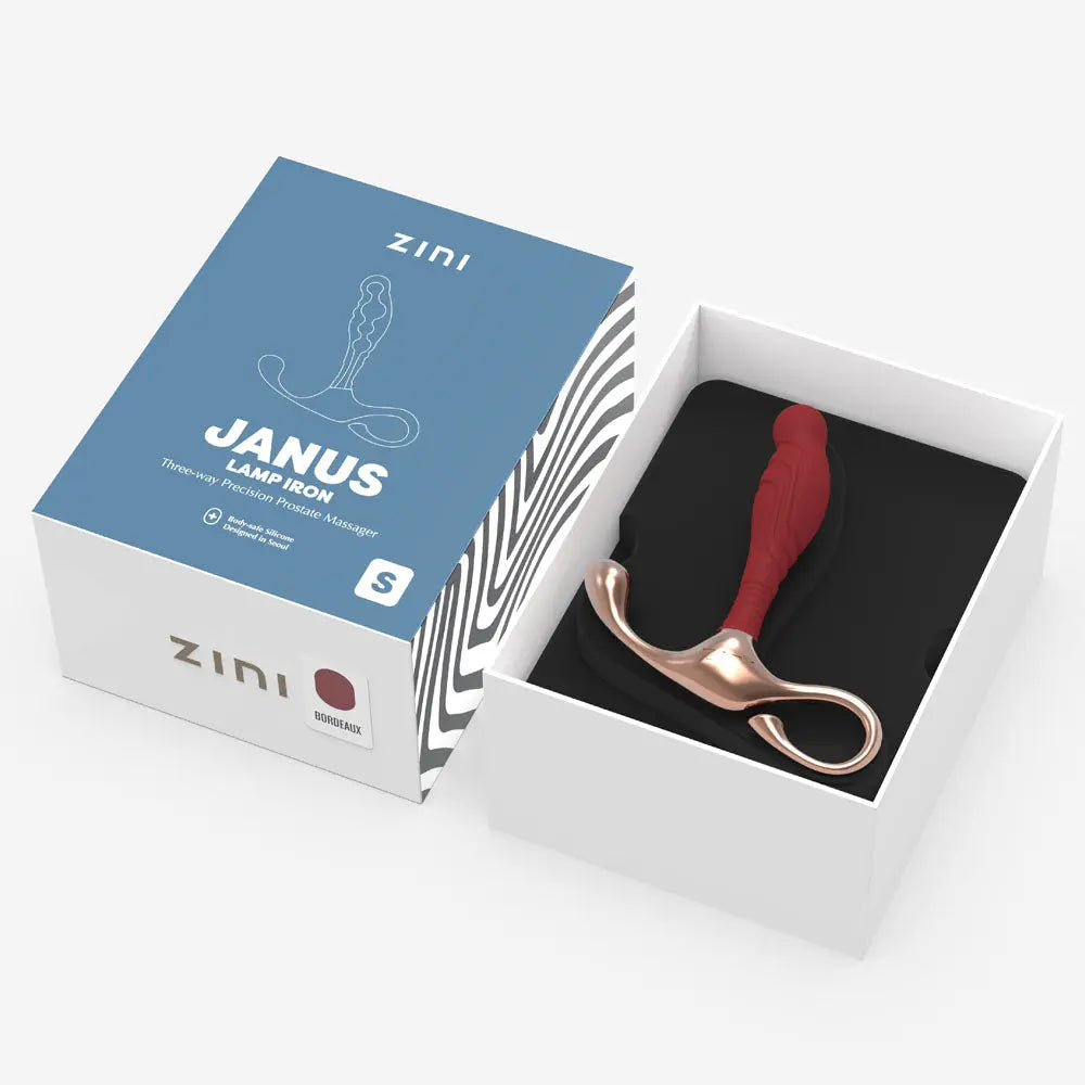 Zini Janus Lamp Iron - Small -  Small Prostate Massager Zini Discreet Intimate Essentials.