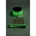 Kink in the Dark Glowing Collar and Lead Fluro Green Master Series Discreet Intimate Essentials.