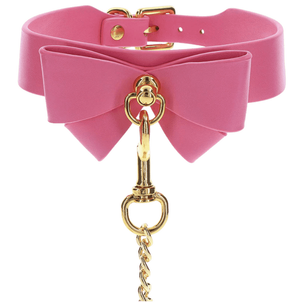 Collar and Leash (Pink)