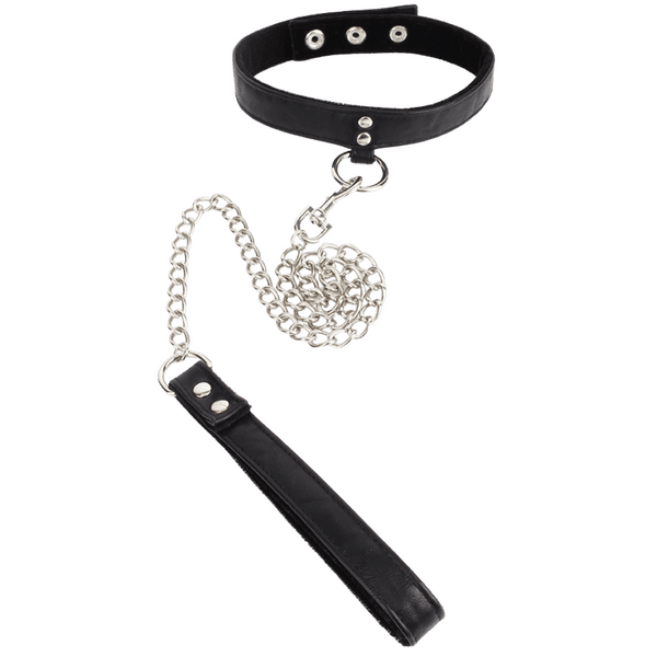 Follow the Leash with Collar