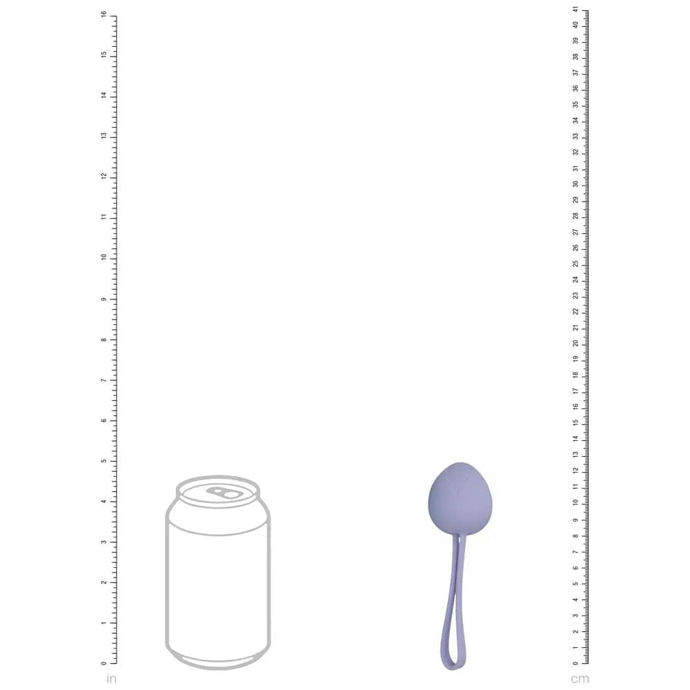LOVELINE PelviFit Berry -  Kegel Kit - Set of 5 Sizes Shots Toys Discreet Intimate Essentials.