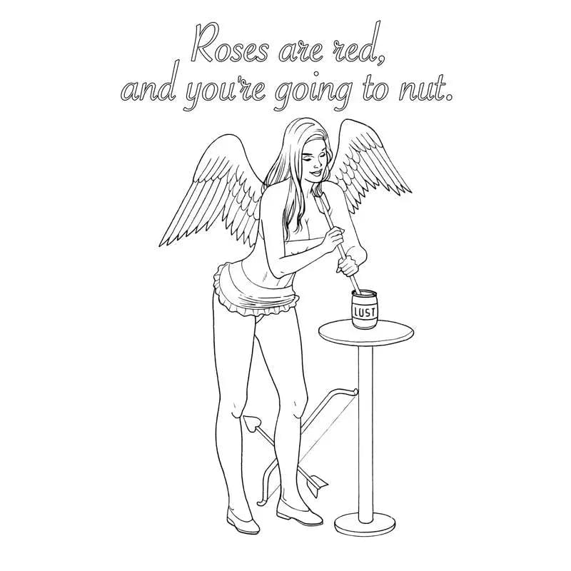 My Naughty Valentine Colouring Book Wood Rocket Discreet Intimate Essentials.