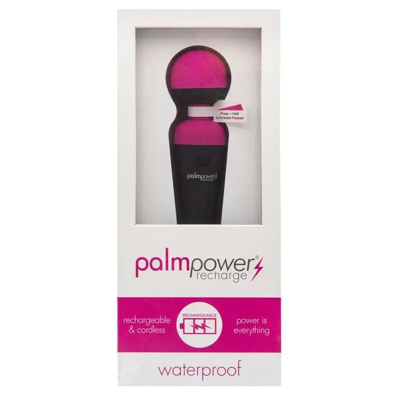 PalmPower Massage Wand Recharge Waterproof PalmPower Discreet Intimate Essentials.