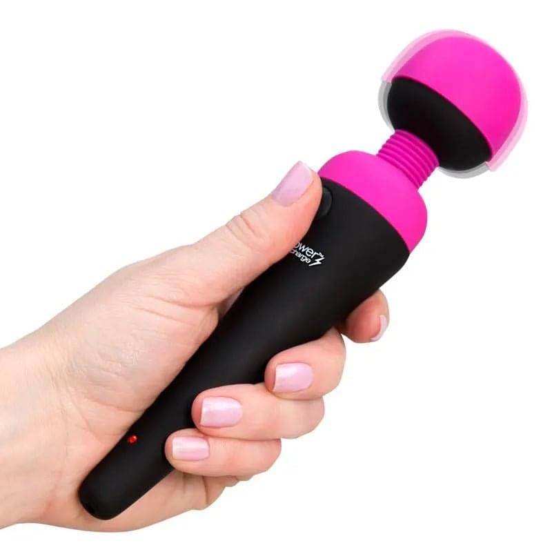 PalmPower Massage Wand Recharge Waterproof PalmPower Discreet Intimate Essentials.