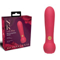 Shop affordable quality Secret Kisses ROSEGASM Lush Bliss Bullet - 10.8 cm USB Rechargeable Bullet - Discreet Intimate Essentials - BULLETS & EGGS - XGEN Products