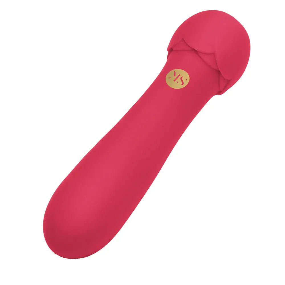Shop affordable quality Secret Kisses ROSEGASM Lush Bliss Bullet - 10.8 cm USB Rechargeable Bullet - Discreet Intimate Essentials - BULLETS & EGGS - XGEN Products