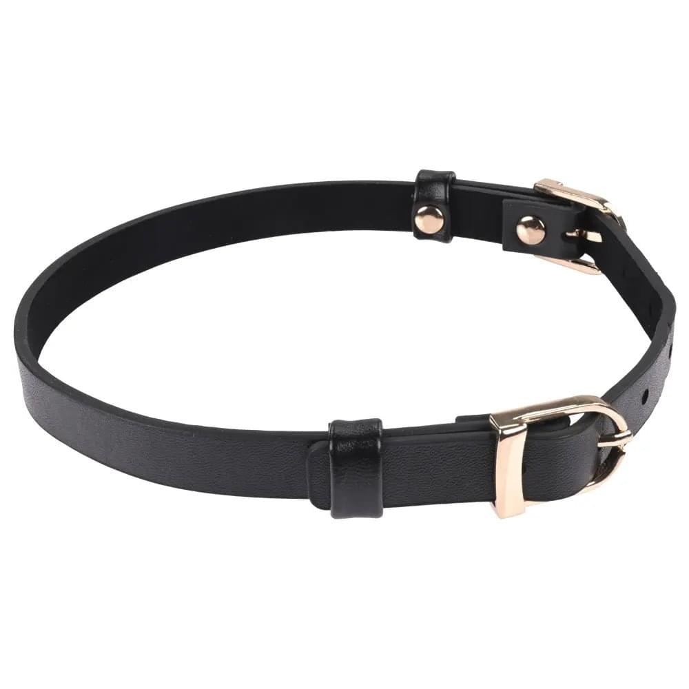 Sex & Mischief Double Buckle Day Collar -  Collar Sportsheets Discreet Intimate Essentials.